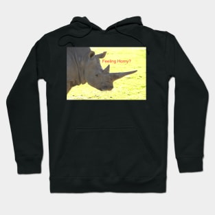 Feeling Horny? Hoodie